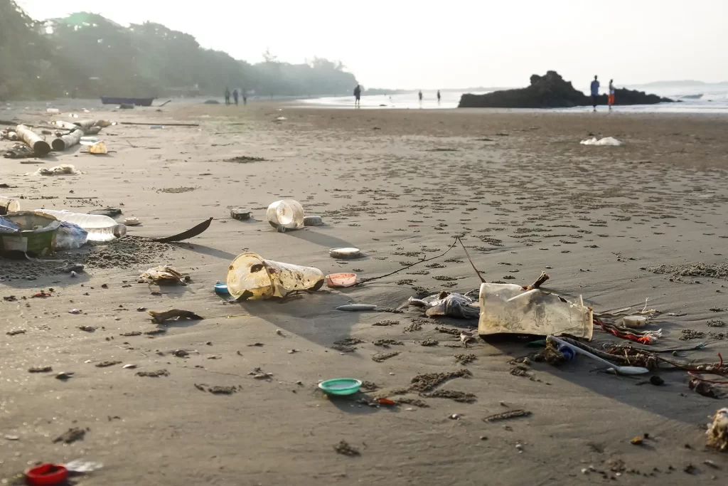 Biodegradable plastics, Sustainable plastics, Eco-friendly polymers